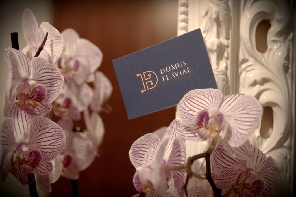 Hotel Domus Flaviae Roma Exterior foto